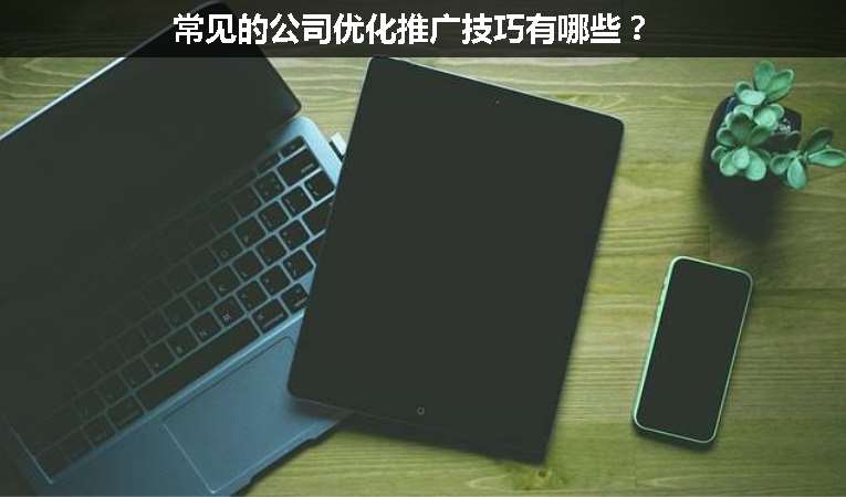 常見的公司優(yōu)化推廣技巧有哪些？